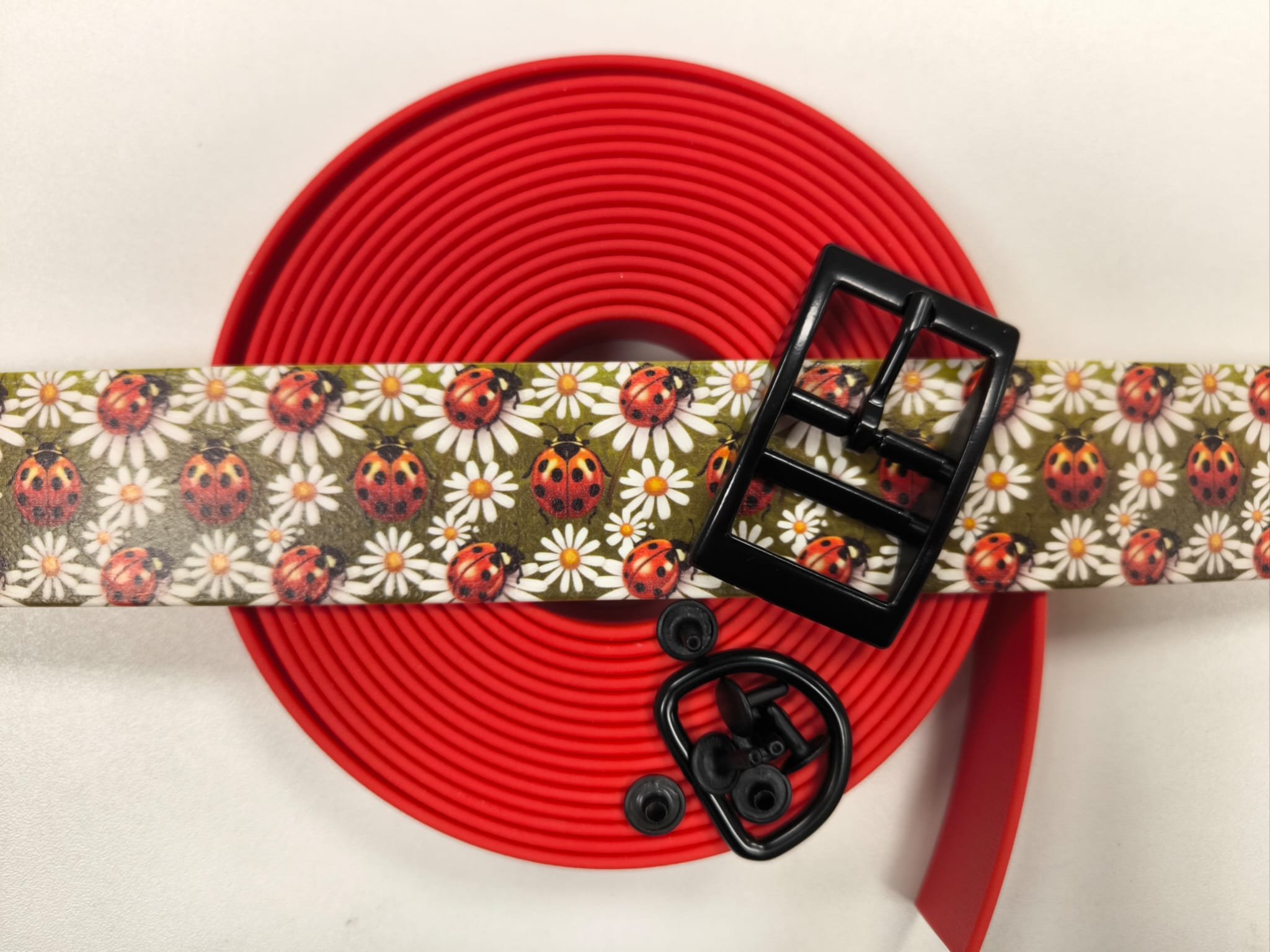 DIY Ladybugs Colorthan® design s komponenty