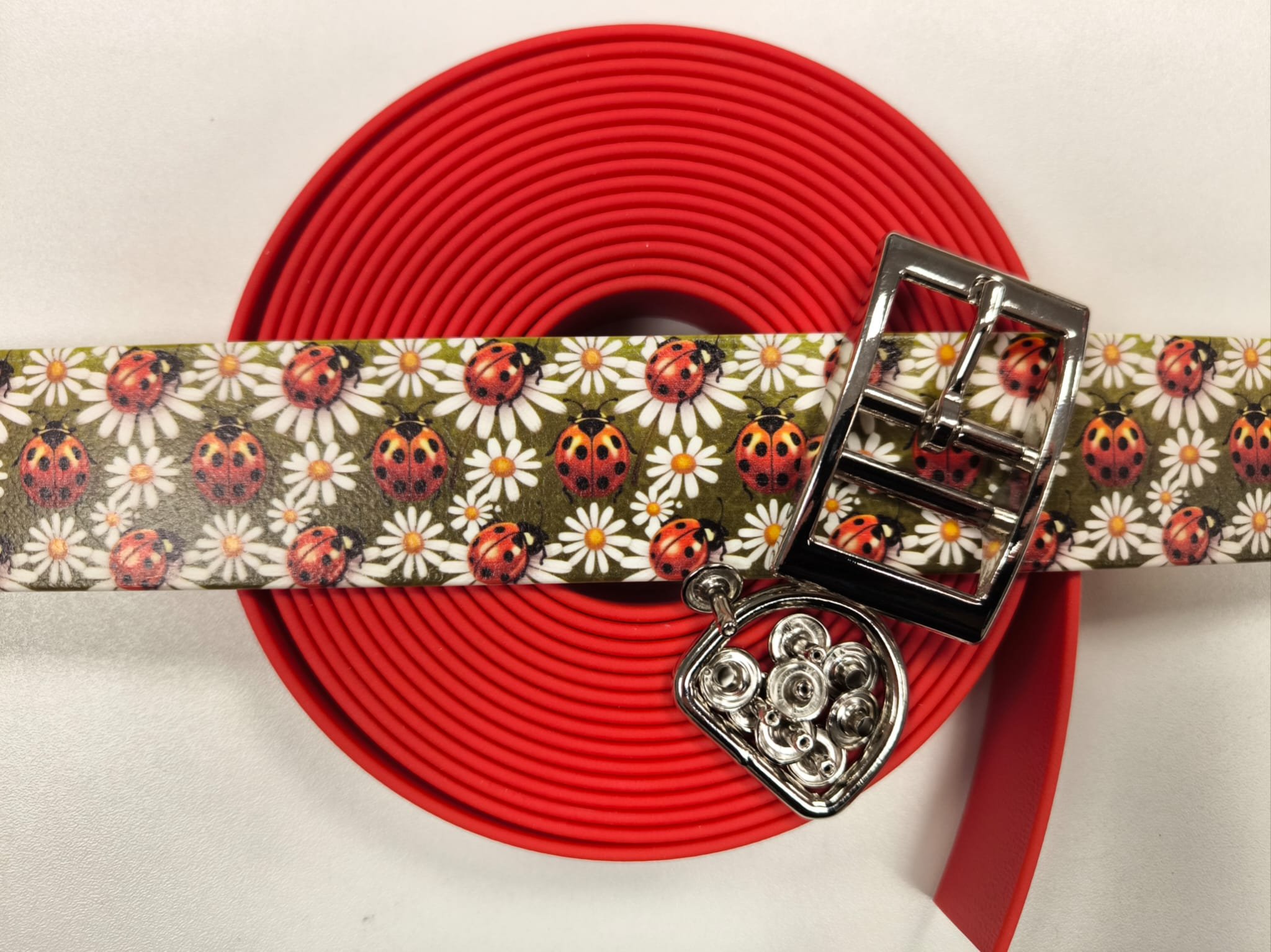 DIY Ladybugs Colorthan® design s komponenty