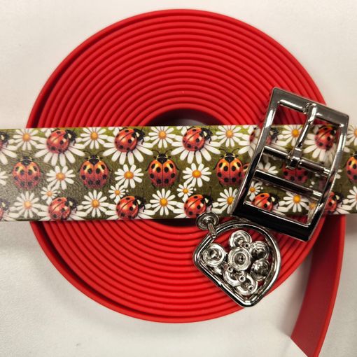 DIY Ladybugs Colorthan® design s komponenty