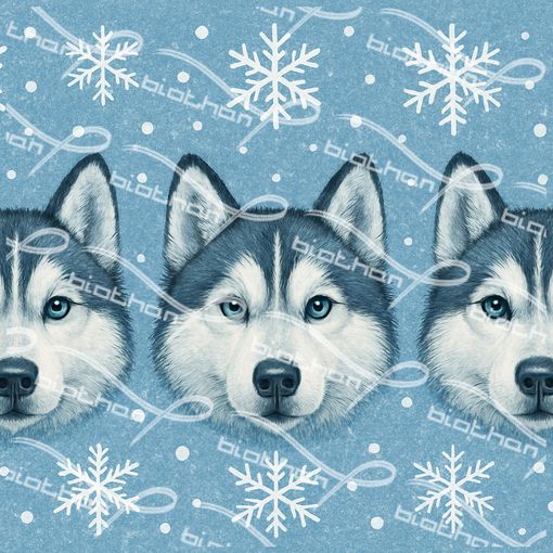 Huskies in Snow ColorThan design - BioThane® Beta 520 Standard